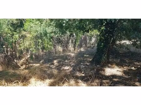 terrain à vendre