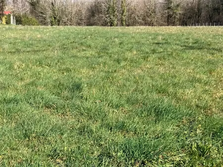 vente terrain 413 m² à saint-césaire (17770)  28 910 €