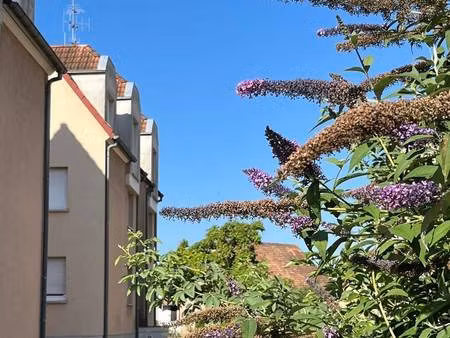 nadine casenave immobilier