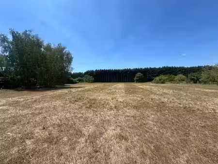 vente terrain 7135 m² à monthou-sur-bièvre (41120)  77 420 €