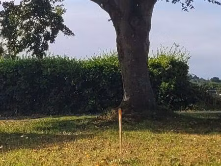 trecobois lamballe