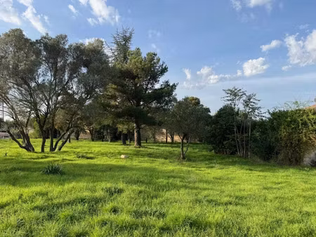 vente terrain 256 m² à bollene (84500)  56 500 €