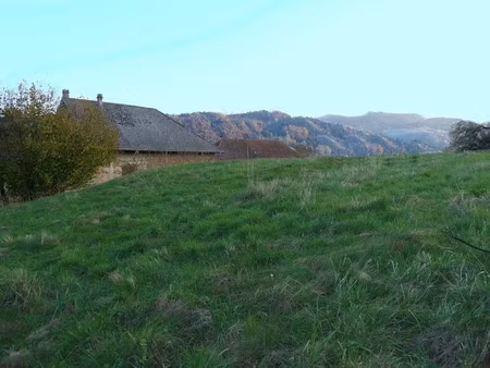 vente terrain à batir 1198 m² à saint-geoire-en-valdaine (38620)  72 000 €