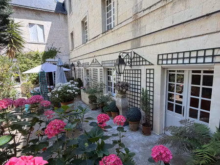 chinon appartement de standing en plein coeur du centre-ville