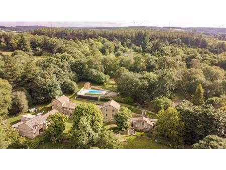 domaine de caractère de 680 m²   4 6 ha  deux piscines et à 20 min de carcassonne