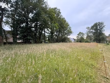 vente terrain à batir 1371 m² à questembert (56230)  73 600 €