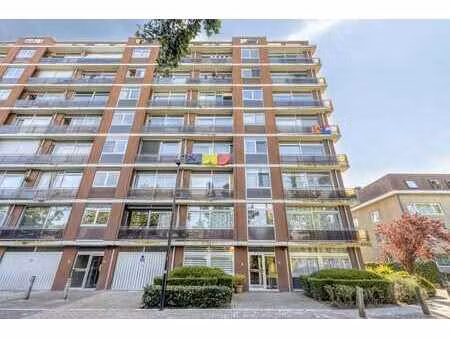 appartement à vendre à borsbeek avec trois chambres