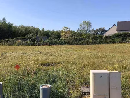 vente terrain 301 m² à saint-philbert-de-grand-lieu (44310)  96 300 €