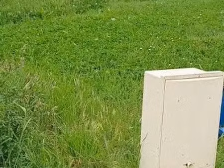 vente terrain 423 m² à chaumes-en-retz (44320)  81 900 €