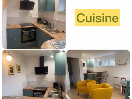 appartement studio meublé 31m2 (seulement pour étudiant - student only)
