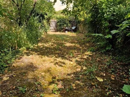 petit terrain pour jardin