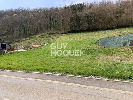 terrain constructible viabilisé à vendre