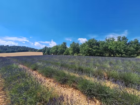 vente terrain 777 m² à roumoules (04500)  117 000 €