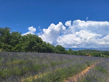 vente terrain 778 m² à roumoules (04500)  115 000 €