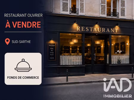 vente locaux professionnels 0 pièces 220 m² à le lude (72800)  89 600 €