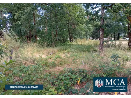 vente terrain 400 m² à biganos (33380)  155 000 €