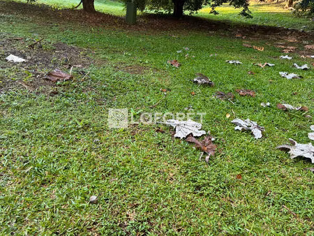 terrain constructible de 1 080 m² à vendre  le lamentin ld boyer