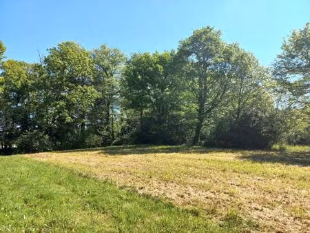 terrain constructible à vendre