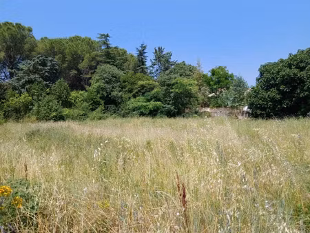 vente terrain 342 m² à saint-geniès-des-mourgues (34160)  210 000 €
