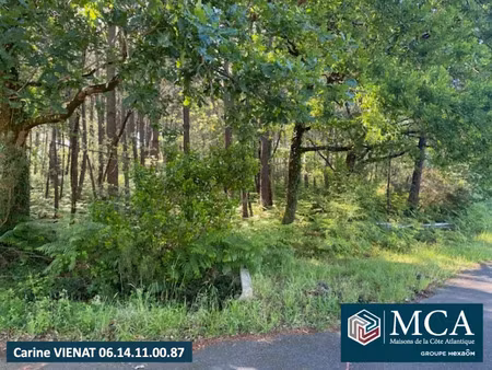 vente terrain 650 m² à sanguinet (40460)  229 000 €