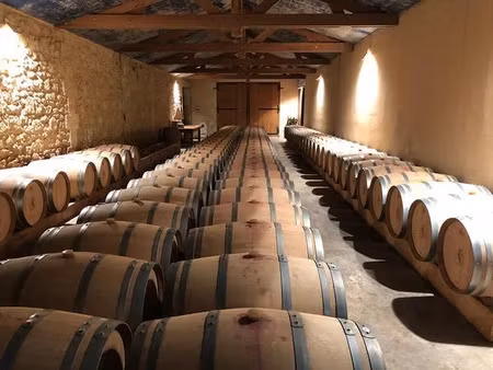 vente château 1014 m² à blaye (33390)  2 288 000 €
