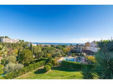 studio vide - 500 av bel air - villeneuve loubet