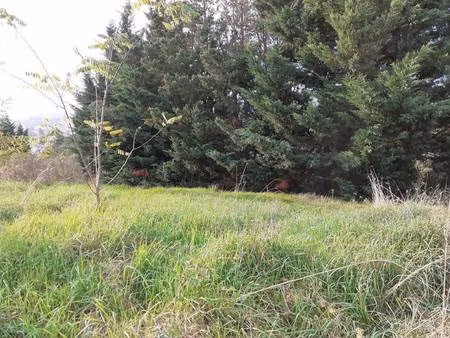 terrain constructible viabilisé à vendre