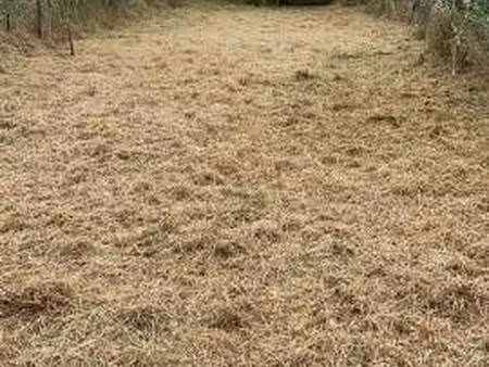 terrain constructible viabilisé à vendre