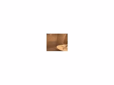 location appartement 1 pièce à talence (33400)  550 €