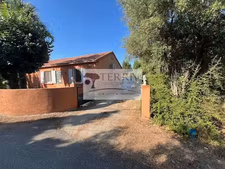 terra immobilier solenzara