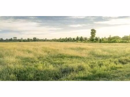 terrain à louer