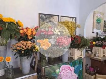 vente bureaux et commerces à saint-brevin-les-pins (44250) : à vendre / saint-brevin-les-p