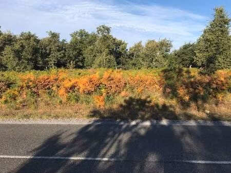 terrain constructible à vendre