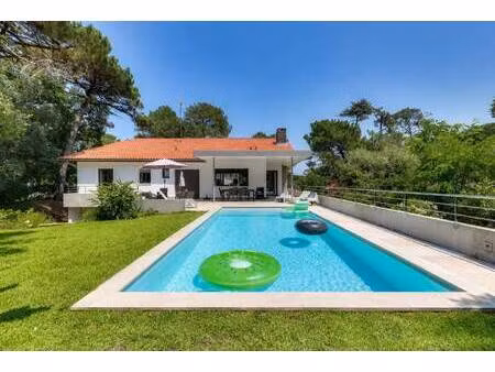moser immobilier