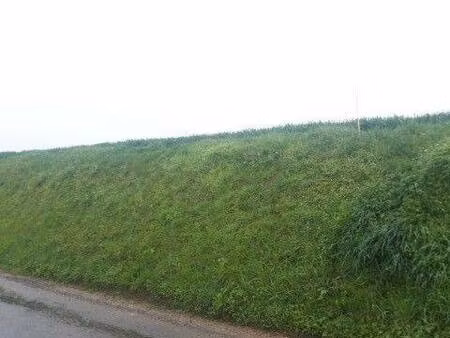terrain constructible viabilisé à vendre