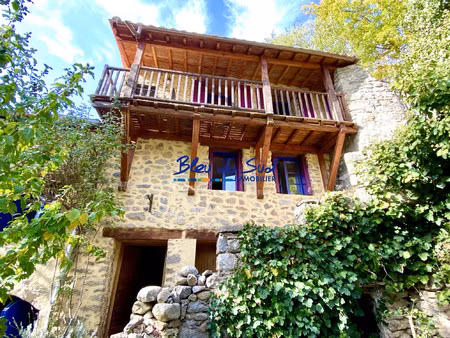 charmante maison en pierres avec terrasse et jardin