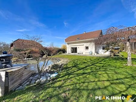 peak immobilier rumilly