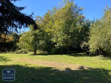 terrain