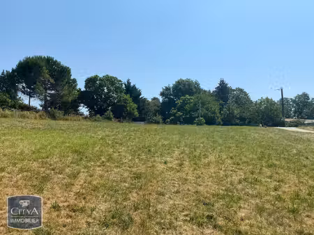 terrain