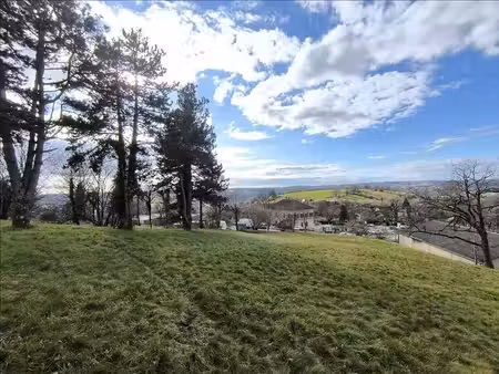 terrain
