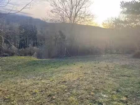 terrain