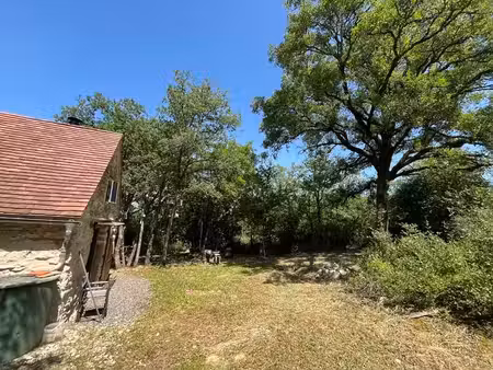 terrain