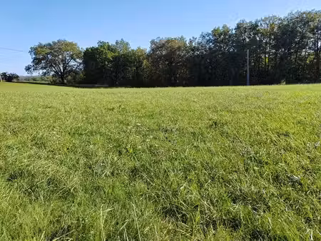 terrain