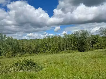 terrain