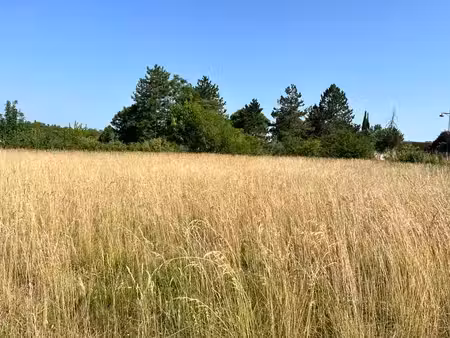 terrain