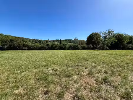 terrain