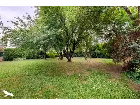 terrain