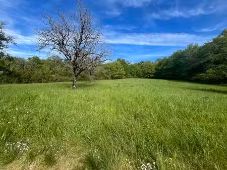terrain