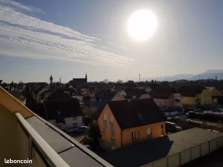 joli 2 pièces meublé à selestat avec terrasse  cave et garage