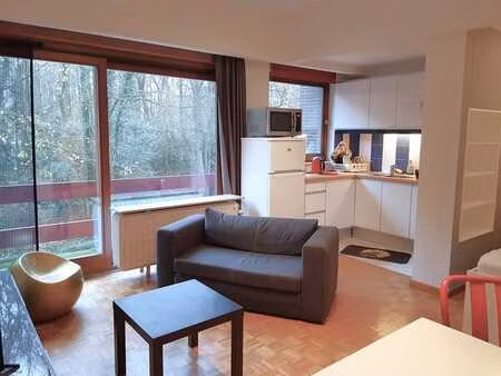 appartement lumineux avec vue sur le bois de la cambre